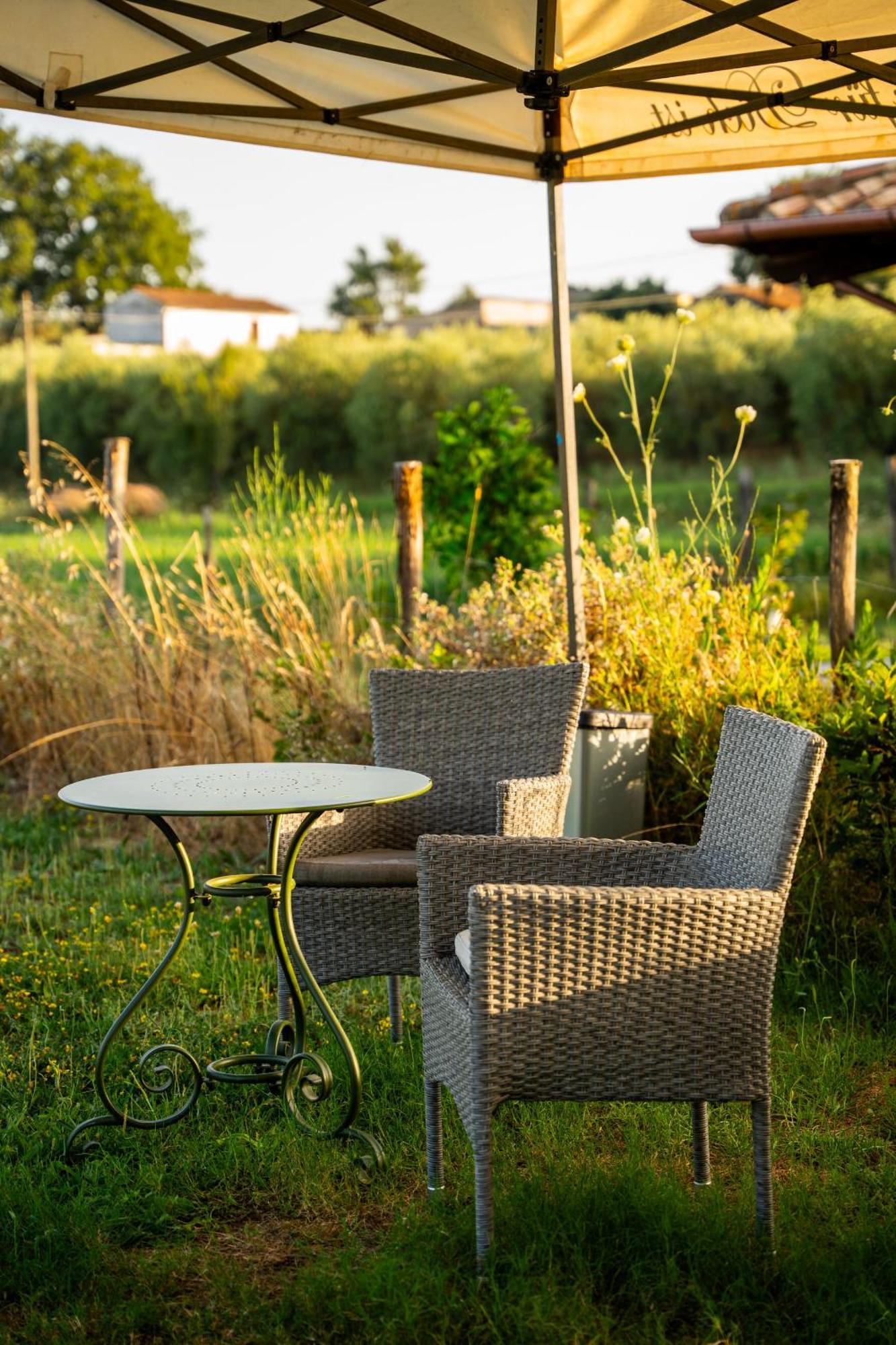 Agriturismo Anfora Della Vita Massa Marittima Zewnętrze zdjęcie