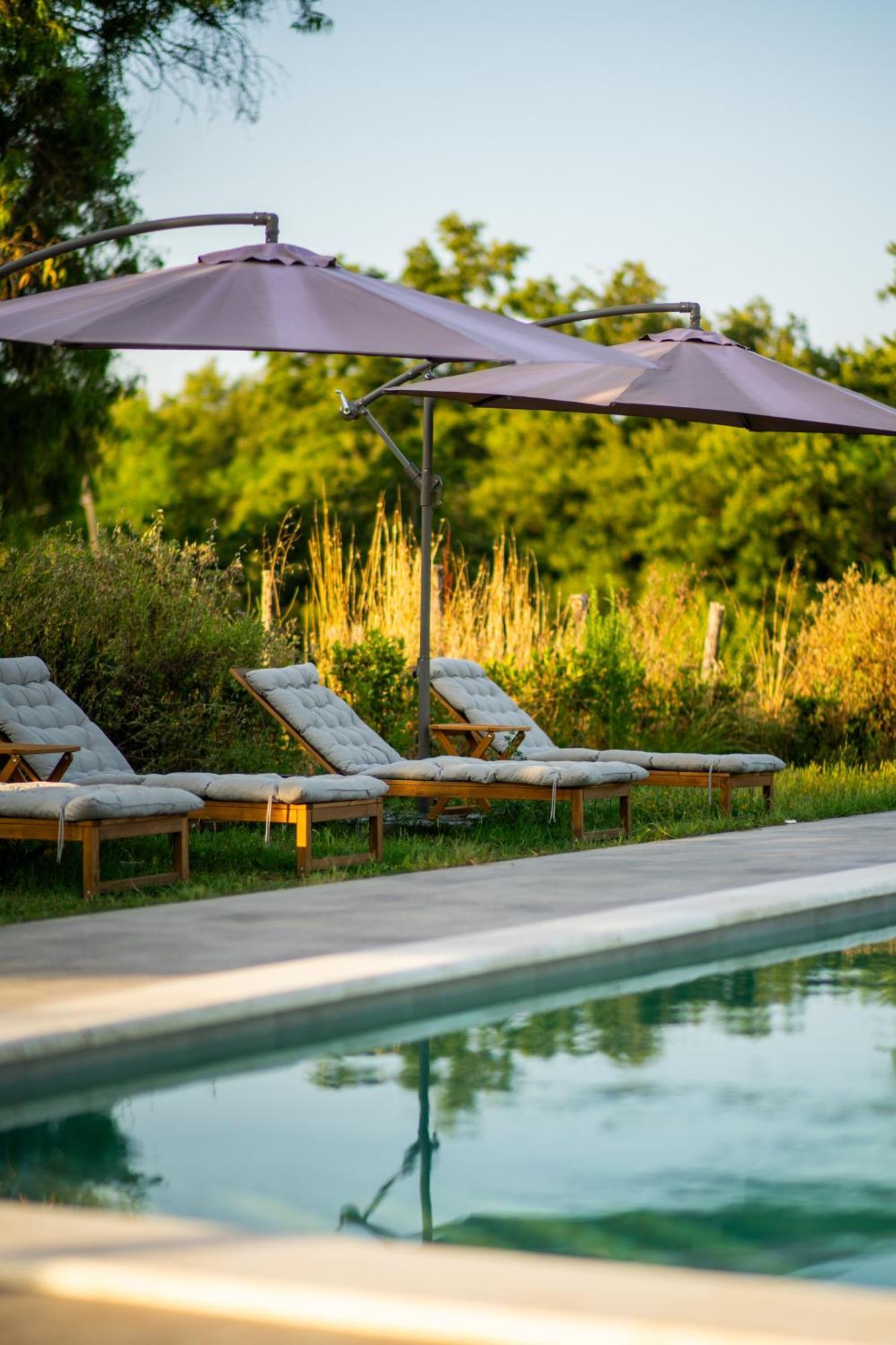 Agriturismo Anfora Della Vita Massa Marittima Zewnętrze zdjęcie
